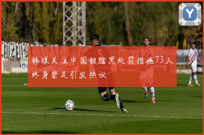 韩媒关注中国假赌黑处罚措施73人终身禁足引发热议